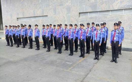 Extended line of guards on parade